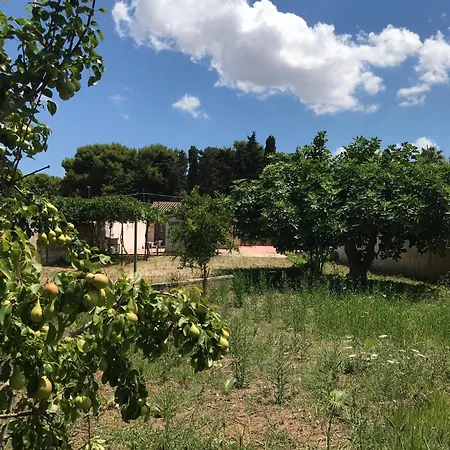 Sunset Lovers In A 300mt Dal Mare 公寓 *